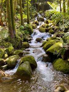 Onomea Waterfalls - Hawaii Tropical Bioreserve and Garden, Big Island, Hawaii, USA | by Deborah Silverman